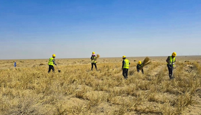 迎風(fēng)奮進 實干爭先--酒泉市黑河中游防沙治沙林草綜合治理項目建設(shè)按下“快進鍵”